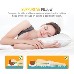 DreamNorth Premium Gel Pillow Loft, Plush Soft Bed Pillow 2 Pack, Queen Size