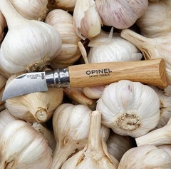 CHESTNUT & GARLIC KNIFE