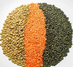 Organic Red Split Lentils aka Masoor Dal low calories rich in Iron and Protein