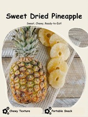 Snack Delight Dried Pineapple Rings – Sweet Candied Fruit Snack