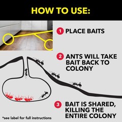 Raid Indoor Ant Bait Gel Trap 8 Count Pack Long Lasting Easy Placement Use