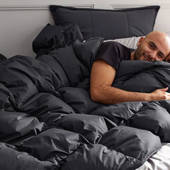 The Company Store LaCrosse Premium LoftAIRE Down Alternative Warmth Comforter