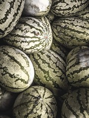 50 DIXIE QUEEN WATERMELON White & Red Citrullus Lanatus Melon Fruit Vine Seeds