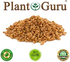 Fenugreek Seeds Whole 2.5 lbs. Jar Bulk Trigonella Foenum Graecum Methi Seed
