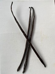 Organic FairTrade Madagascar Vanilla Beans Whole Grade A Pods – Benefits Charity