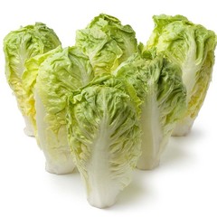 1000 LITTLE GEM LETTUCE SEEDS ~ heirloomseedguy ~ 2026 ~ NON-GMO ~ AEROGARDEN