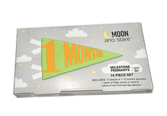 Moon and Stars Paper Milestone Pennant Set 14pc 0-12 Months 1st Birthday