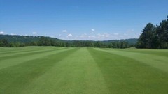 Annual Rye Grass 10 lbs Grass Seed Fast Growing Winter Fall Rye Grass FAST SHIP