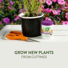 2 Pack Garden Safe Takeroot Rooting Hormone, New Plants Growth Powder – 2 Oz