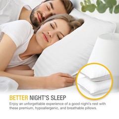 DreamNorth Premium Gel Pillow Loft, Plush Soft Bed Pillow 2 Pack, Queen Size
