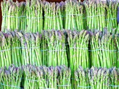ASPARAGUS SEEDS 25 PERENNIAL AUTUMN GARDEN VEGETABLE HEIRLOOM NON-GMO USA
