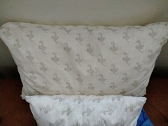 My Pillow Set of 2 (never used)