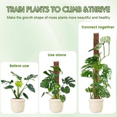 4Pcs Plastic Moss Pole Reusable Plant Support Stake for Monstera Climbing Plants