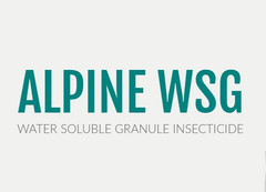 10 Gram Packet Alpine WSG Water Soluble Granule Insecticide Kill Ant roach etc