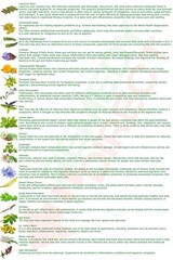 PANCREAS TEA Natural 20 Herbs Organic Herbal Pancreatic Support Care Relief 100g