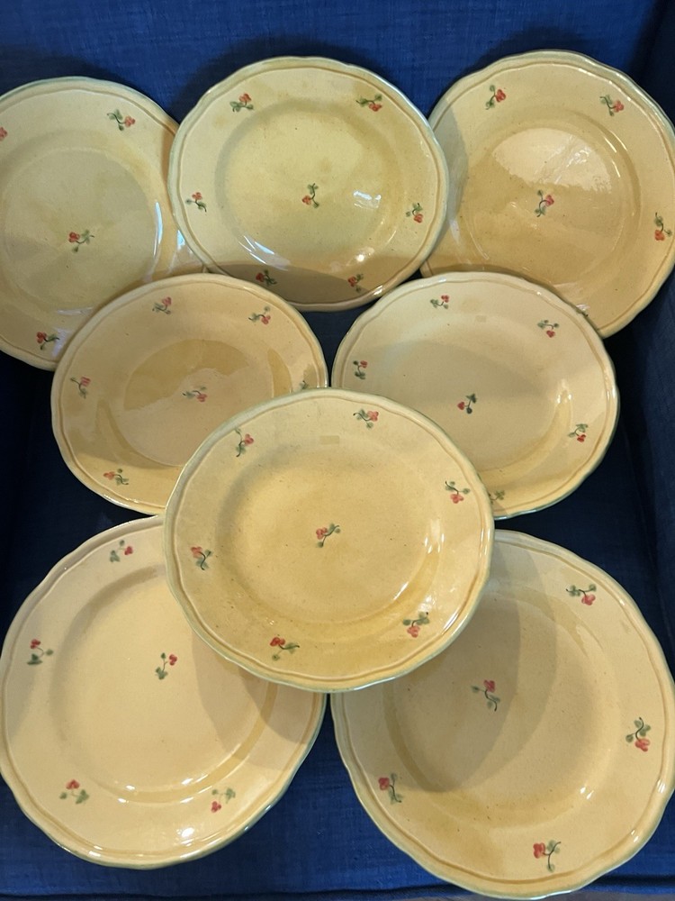 Terre Provence France RARE Stoneware Floral Round Plate Set 8 Must SEE Vtg