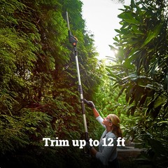 WORX WG252 Cordless 20V 2-in-1 Hedge Trimmer w/ Attachment Capabilities