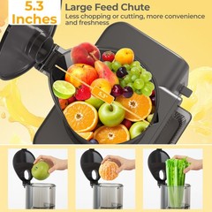 Cold Press Juicer with 5.3″ Feed Chute, 28oz Capacity, 43 RPM