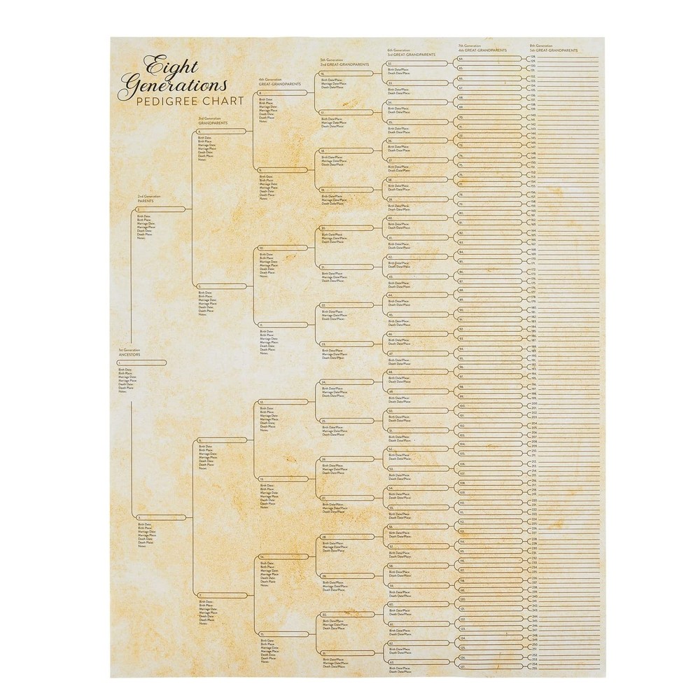 15 Pack Family Tree Charts to Fill in – Blank 8 Generation Genealogy Poster for