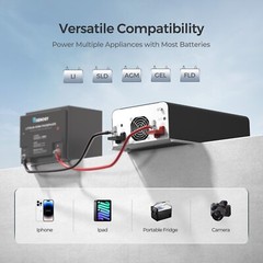 Renogy 1000W 12V Pure Sine Wave Inverter with UPS Transfer Switch and Built-in B