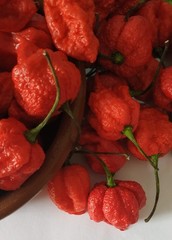 20 SEEDS OF CAROLINA REAPER EXTREMELY SPICY PEPPER 100% GUARANTEED