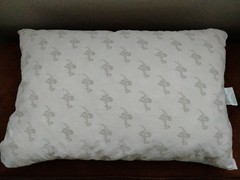 My Pillow Set of 2 (never used)