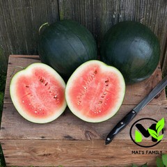 Sugar Baby Watermelon Seeds – Heirloom