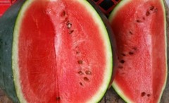 50+ SEEDS SUGAR BABY WATERMELON SUPER SWEET FRUIT HEIRLOOM NON-GMO MELON USA