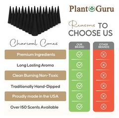 100 Jumbo Charcoal Incense Cones 2″ TOPFLOW Bulk For Burner Holder Variety Lot