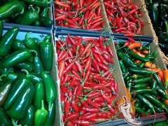 SERRANO ROJO 30 SEEDS 100% GUARANTEED SPICY CHILLI CHILLI PEPPER