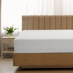 Zippered Mattress Encasement Waterproof Protector Hypoallergenic Mattress Cover