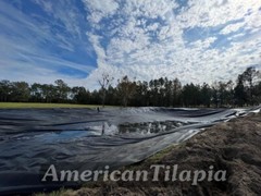 Pond liner 30 mill HDRPE 16X8 UV Resistant,Durable,Fish pond, Free Shipping!