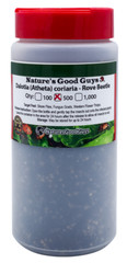 NaturesGoodGuys Dalotia (Atheta) coriaria – Rove Beetle – 500 Insects