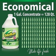 Disinfectant Concentrate and Odor Eliminator,1 Gallon, Original Eucalyptus