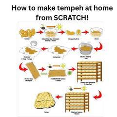 (5 x 500g) RAPRIMA TEMPEH RAGI TEMPE Starter Inoculum Tempeh Soya Protein