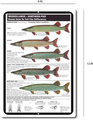 Tin Signs Vintage Style Fishing Art Freshwater Musky Pike Chart Cabin Picture