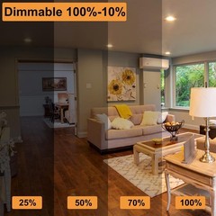 A19 Clear Incandescent Rough Service Light Bulb, 100 Watt Incandescent Light