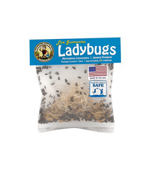 NaturesGoodGuys – Live Ladybugs – General predators