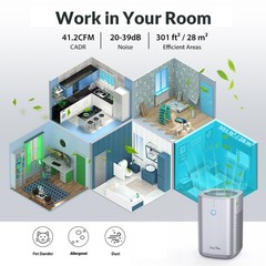 Home Air Purifier for Allergies Pet True HEPA Large Room Air Cleaner Smoke Eater