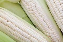 100 COUNTRY GENTLEMAN WHITE CORN Sweet Heirloom Zea Mays Vegetable Seeds *FlatSH