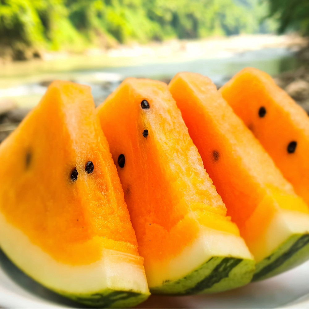 Organic Orange Tendersweet Watermelon Seeds – 15 Citrullus lanatus