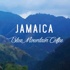 100% Jamaican Blue Mountain Coffee Beans Dark Roasted Daily 2 to 10 Pounds
