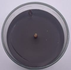 Yankee Candle Girl Scouts Thin Mints 8oz. Candle Single Wick Never Burned