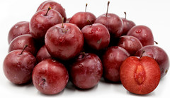 1 Dormant American plum starter plant, flowering fruit shrub/tree .Zones 3-8.