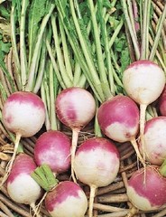 Purple Top White Globe Turnip Seeds, NON-GMO, Variety Size Packets, FREE SHIP