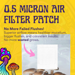 6lbs All-in-One Mushroom Grow Kit in a Bag | HUGE FLUSHES | Easy to Use