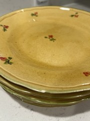 Terre Provence France RARE Stoneware Floral Round Plate Set 8 Must SEE Vtg