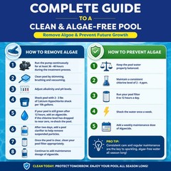 In The Swim Algaecide 60 Plus For Swimming Pools – Non-Metallic, Low Odor,