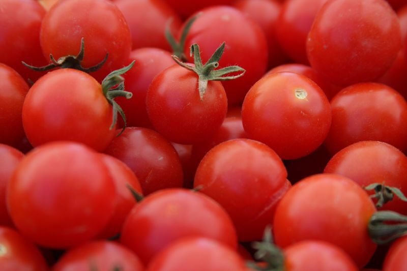 Large Red Cherry Tomato Seeds 150 Ct Vegetable HEIRLOOM NON-GMO FREE SHIPPING
