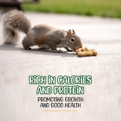 Snaky Mango Raw Peanuts in Shell – 1 Pounds – All-Natural Food for Squirrels,…